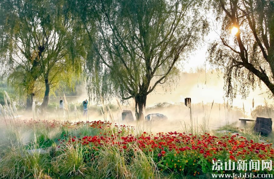 《湿地晨韵》(铜奖)作者:李小平 《湿地晨韵》(铜奖)作者:李小平